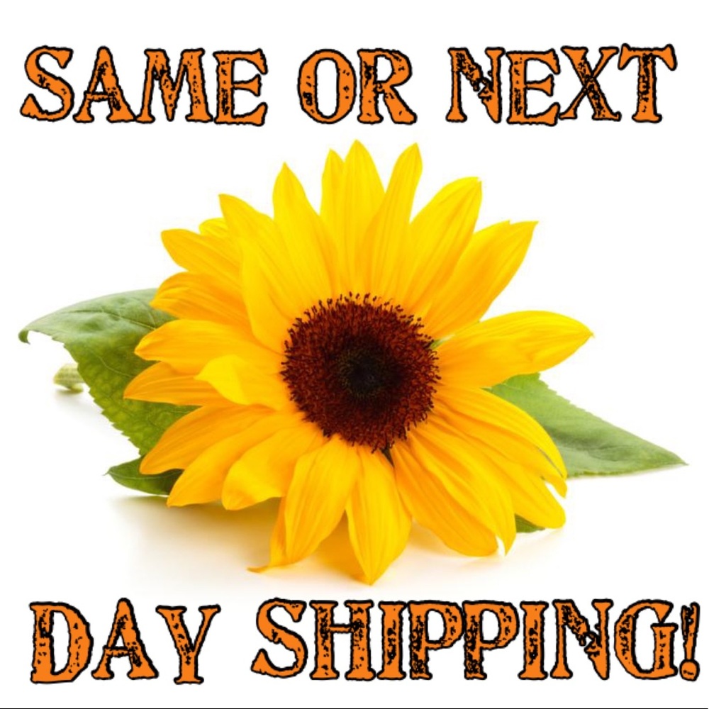 ⚡️⚡️FAST SHIPPING!!! ⚡️⚡️